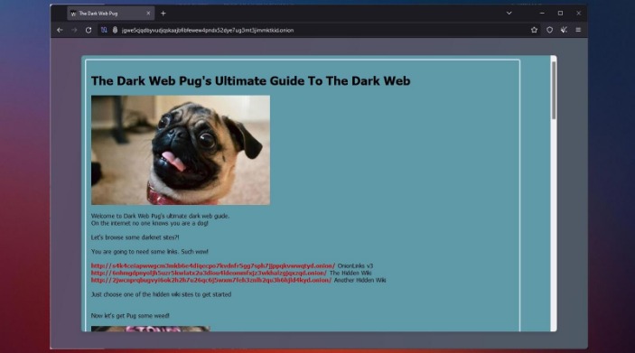 how to access dark web markets