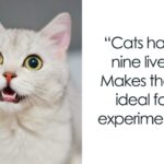 Dark Markets Indonesia