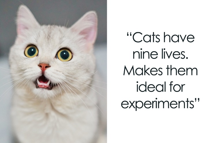 Dark Markets Indonesia