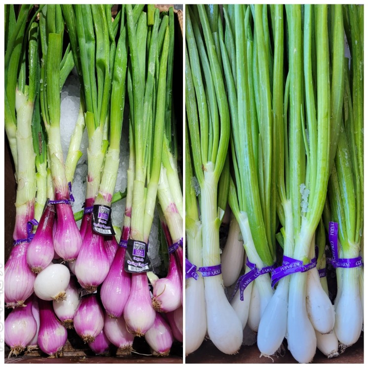 onion linkek