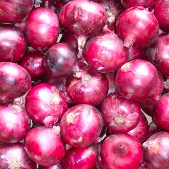 Onion Directory