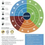 Darknet Market Ranking