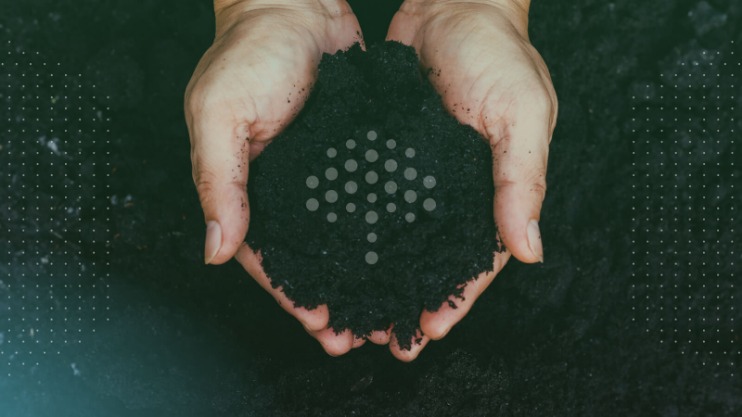 Blockchain Darknet Markets