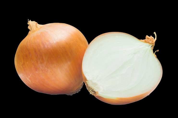 onion directory 2023