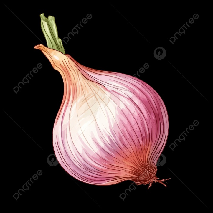 onion directory 2023