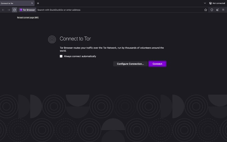 accessing the dark web
