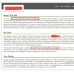 Deep Dot Web Replacement