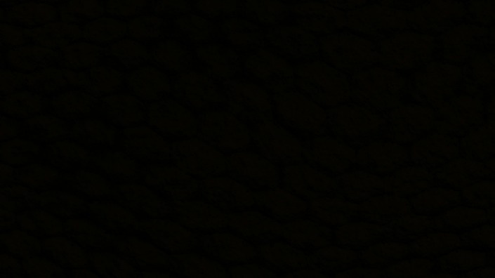 Black Market Websites 2025