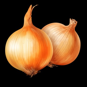 Onion Market Url