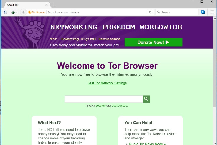 how do i access the dark web