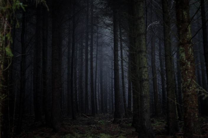 what is the dark web used for