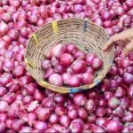 How Big Is The Darknet Market