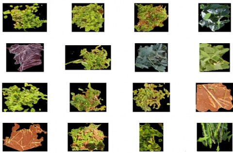 deep web weed prices