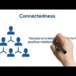 Darknet Dream Market Reddit