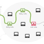 Tor Market Darknet