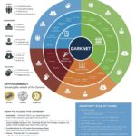 What Darknet Markets Are Left