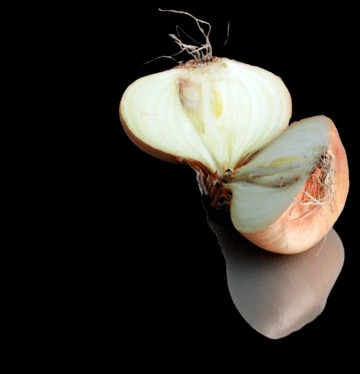 onion deep web wiki