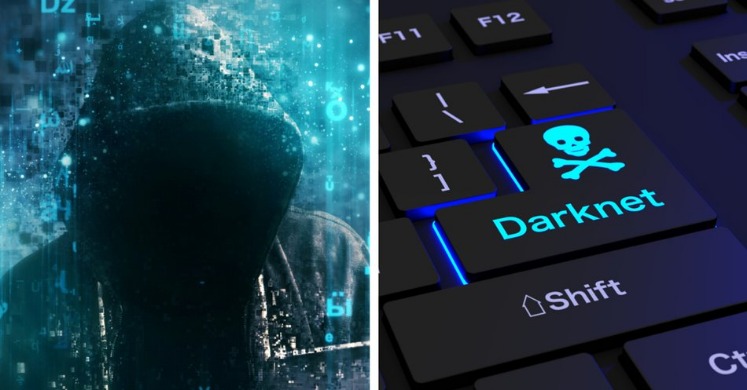 Darknet Market Reviews