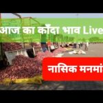 Live Onion Market