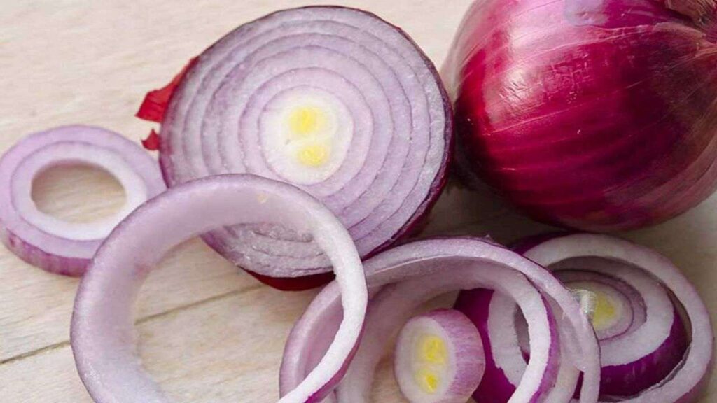 Best Onion Sites 2023