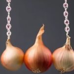 Onion Links