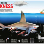 Buying Drugs On Darknet Reddit