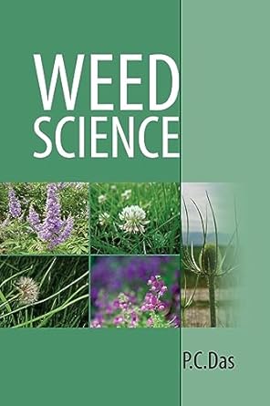 deep web weed prices