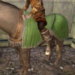 Links The Hidden Wiki