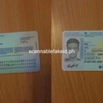 Fake Id Dark Web 2025