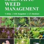 Deep Web Weed Prices