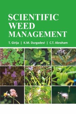 Deep Web Weed Prices