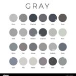 Grey Market Darknet