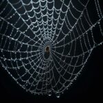 Deep Web Link 2023