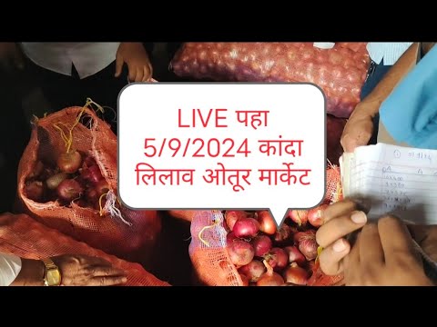 onion live links