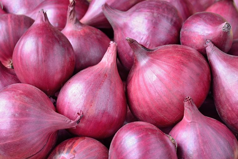 onion seiten 2023