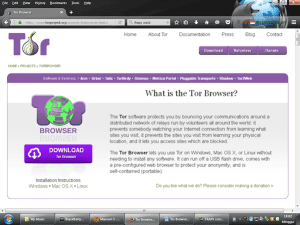 Hidden Financial Services Deep Web