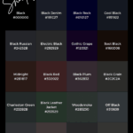 Black Market Website Review