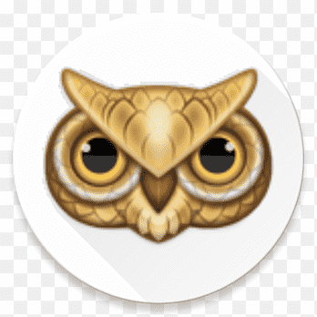 deep web search engine url